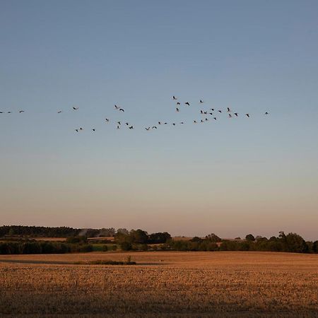 Radlerzimmer mit Duschbad und Miniküche in Neu Gaarz, mitten in der Natur Exterior foto